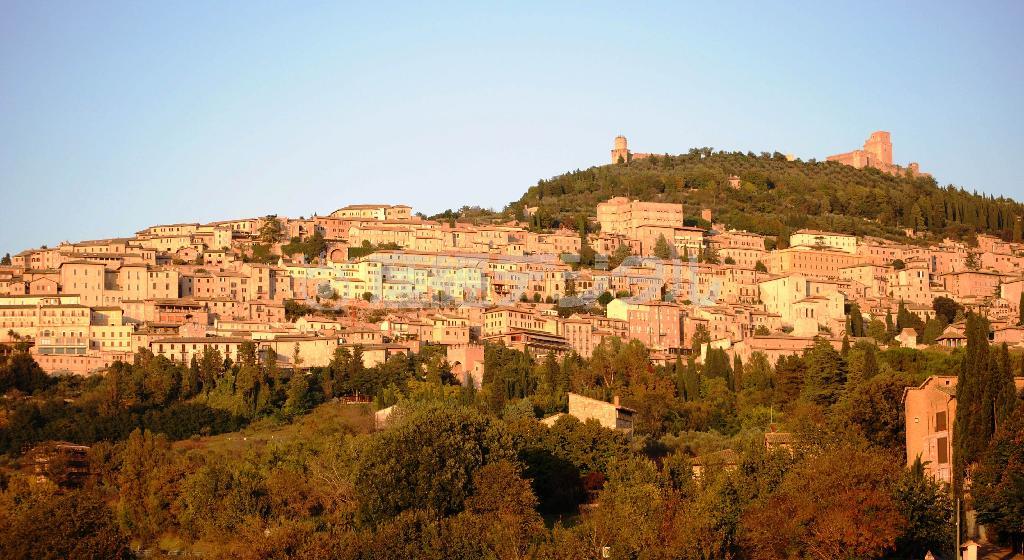山腹に広がるアッシジの街。要塞のように築かれている＝２０１４年１０月１１日、イタリア・ウンブリア州（宮下日出男撮影）