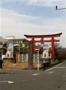 大きなこま犬に守られた二の鳥居の前にも工事用の柵が設けられ＝２０１４年１１月９日、神奈川県鎌倉市