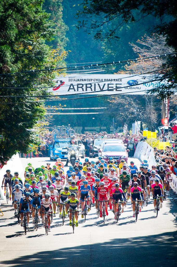 晴天に恵まれた今年のジャパンカップ。大勢の観客に見守られてアジア最高峰の戦いが幕開けした＝２０１４年１０月１９日、栃木県宇都宮市（田中苑子さん撮影）