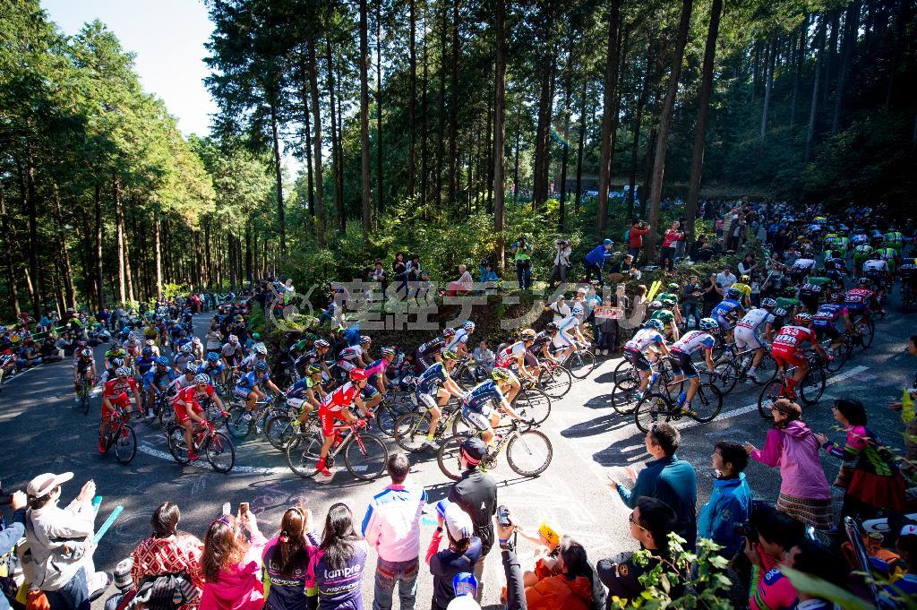 曲がりくねった厳しい登坂区間が続く古賀志林道。観戦には絶好の場所で、たくさんのファンが朝から詰めかける＝２０１４年１０月１９日、栃木県宇都宮市（田中苑子さん撮影）