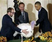 バラク・オバマ米大統領（右）と七面鳥＝２０１４年１１月２６日、米国・首都ワシントン（ロイター）