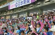 都市対抗野球大会で声援を送る日本新薬の応援席