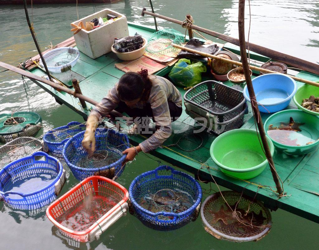 ボートの上でツアー客に海産物を売る水上村の女性＝ベトナム北部のハロン湾