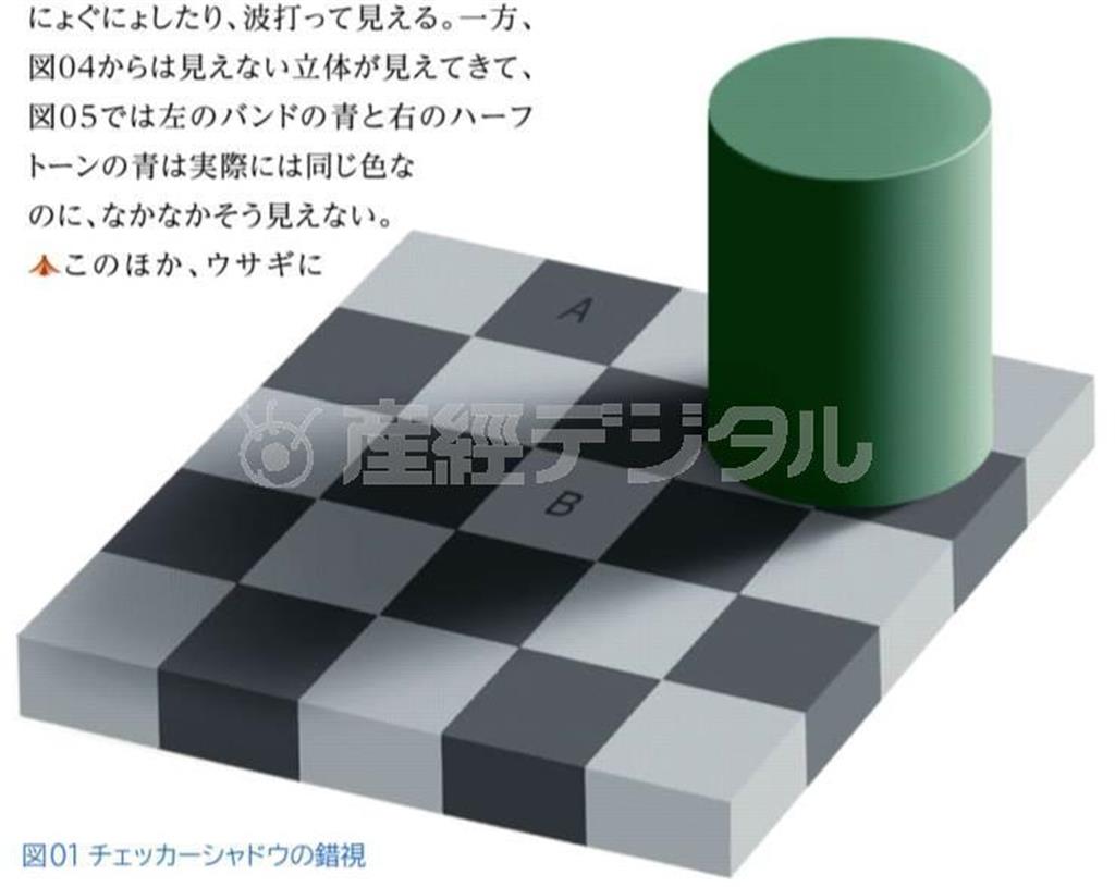 ＜図０１＞チェッカーシャドウの錯視