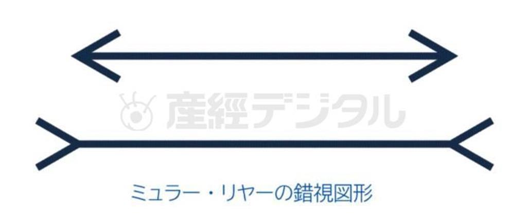 ＜図０２＞ミュラー・リヤーの錯視図形