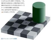 ＜図０１＞チェッカーシャドウの錯視