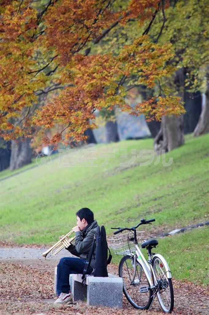 【読者写真（京都市北区、小畠常男さん／撮影地：京都府立植物園付近）】寒くなってきてピンと張り詰めた空気感まで写っていますね。紅葉の色も良く出ていて、ストーリー性のある作品ですね（提供写真）