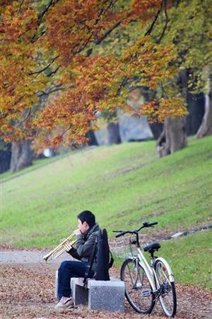 【読者写真（京都市北区、小畠常男さん／撮影地：京都府立植物園付近）】寒くなってきてピンと張り詰めた空気感まで写っていますね。紅葉の色も良く出ていて、ストーリー性のある作品ですね（提供写真）