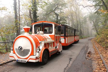乗車料金は2社とも同じなのに、復路は往路に乗った会社のバスにしか乗れないなど、融通が効かないところもドイツっぽい