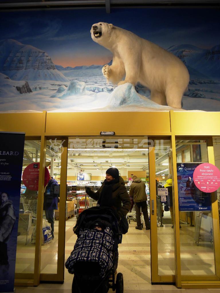 北極圏の島、スバルバル諸島のロングイヤービエンにあるスーパーの入口にもシロクマの剥製が飾ってあった＝２０１４年１０月１７日、ノルウェー・スピッツベルゲン島（内藤泰朗撮影）