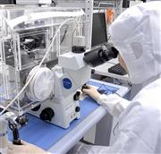 顕微受精に取り組む医療従事者＝２００７年（産経新聞撮影）