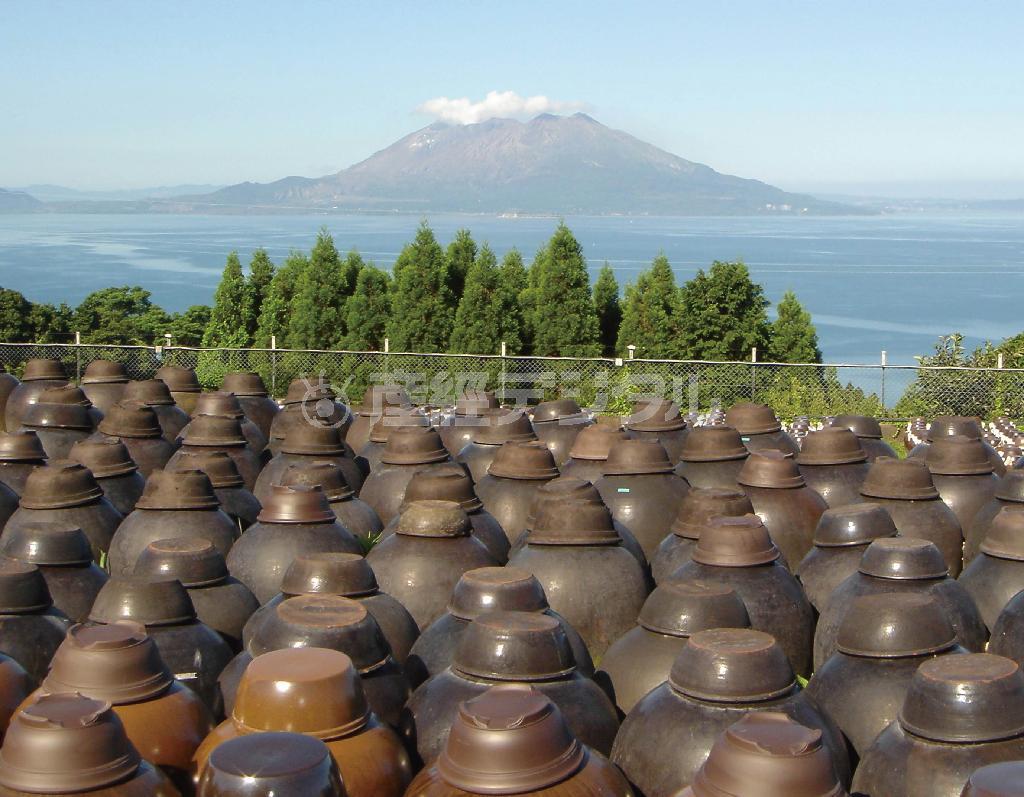 海に臨み整然と壷が並ぶ景色。これはスローフードの旗手とも言うべき「黒酢」が、南国の太陽の光を浴びて農作物のように造られていく「壷畑」＝鹿児島県霧島市（提供写真）