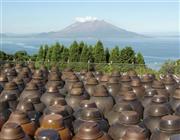 海に臨み整然と壷が並ぶ景色。これはスローフードの旗手とも言うべき「黒酢」が、南国の太陽の光を浴びて農作物のように造られていく「壷畑」＝鹿児島県霧島市（提供写真）