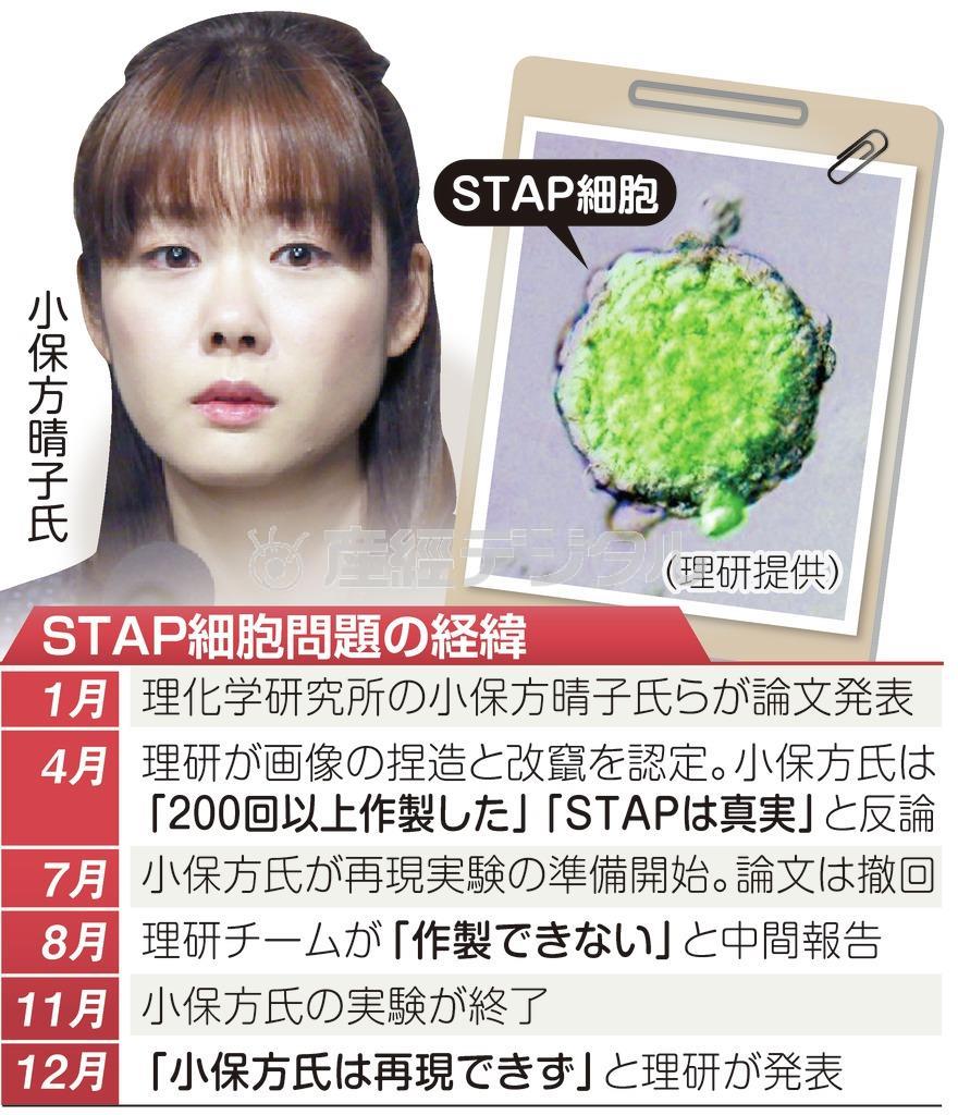 ＳＴＡＰ細胞問題の経緯＝２０１４年１月～２０１４年１２月。※理研提供