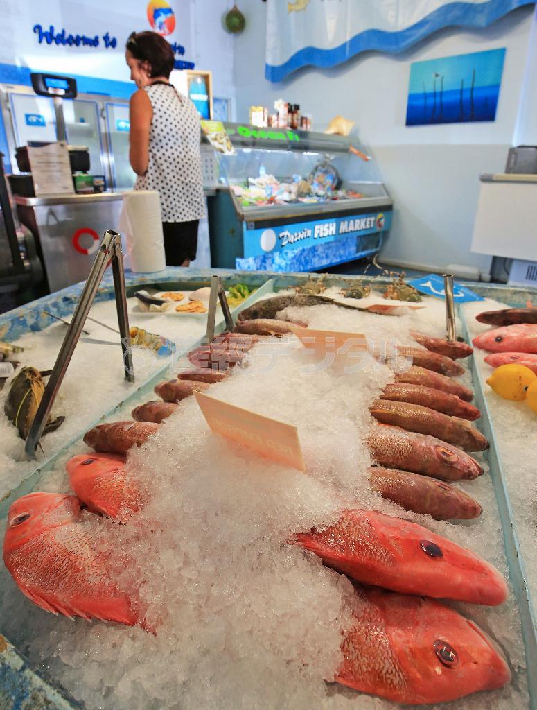 ティモール海で取れた新鮮な魚が並ぶダーウィンのフィッシュマーケット＝２０１４年１０月１６日、オーストラリア・準州ノーザンテリトリー（宮崎裕士撮影）