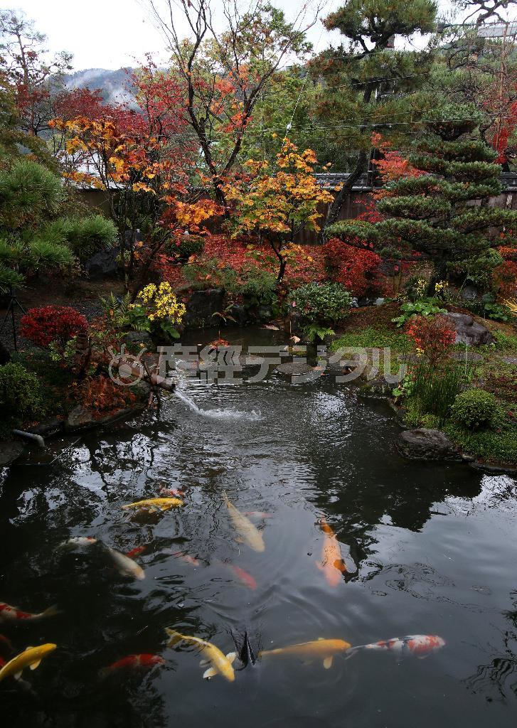 レストランからのぞむ日本庭園は四季折々の表情を伝えてくれる＝２０１４年１２月１日、京都市左京区（志儀駒貴撮影）