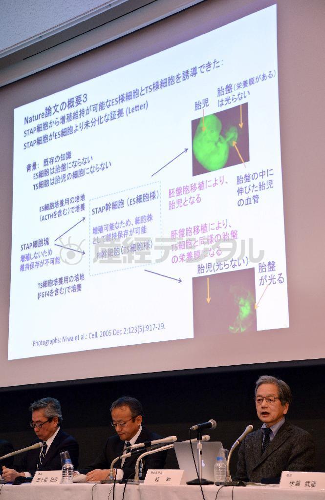 ＳＴＡＰ細胞論文の調査結果について説明する、理化学研究所の調査委員会委員長の桂勲・国立遺伝学研究所所長（右端）ら＝２０１４年１２月２６日午前、東京都千代田区（鴨川一也撮影）
