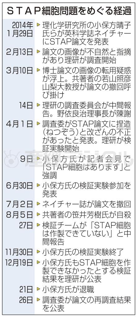 ＳＴＡＰ細胞問題をめぐる経過＝２０１４年１月２９日～１２月２６日