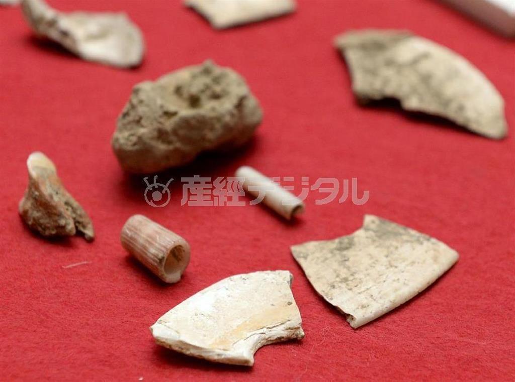 サキタリ洞遺跡で見つかった（手前から）貝製の道具、貝製のビーズなど＝２０１４年２月、沖縄県那覇市の沖縄県立博物館・美術館（共同）