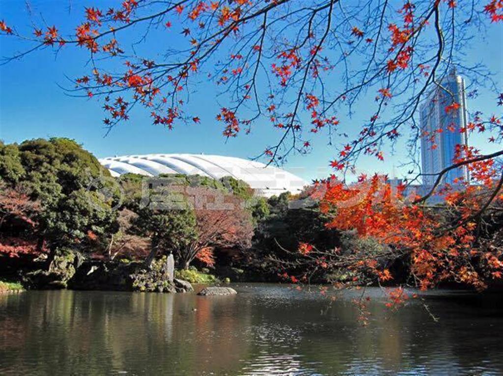 【写真１】小石川後楽園＝２０１４（平成２６）年、東京都文京区（明治学院大学有志学生記者、酒井亮圭提供）