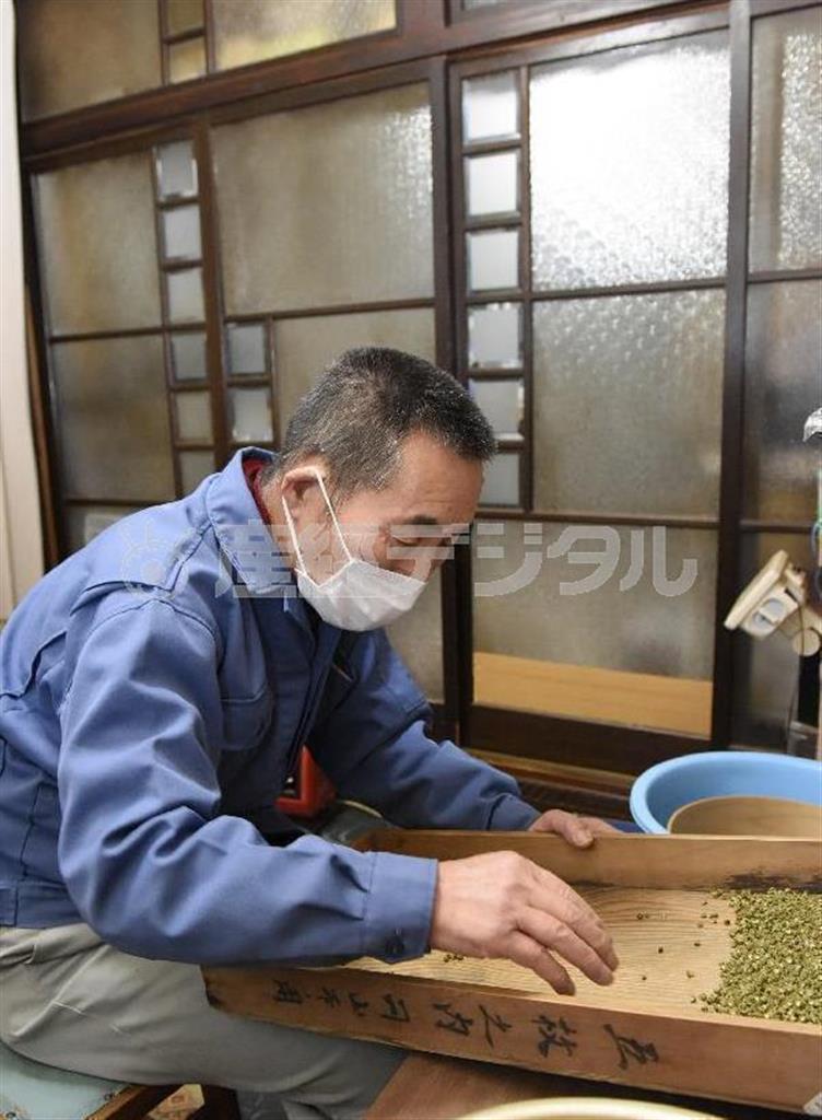 種を取った山椒（さんしょう）の実から丁寧に枝をより分ける「かねいち」の辻了（さとる）さん。小さな枝が爪の間に入って痛いが、この一手間が鮮烈な色と香りを生み出すのだ＝２０１４年２月１１日、和歌山県海南市（塩塚夢撮影）