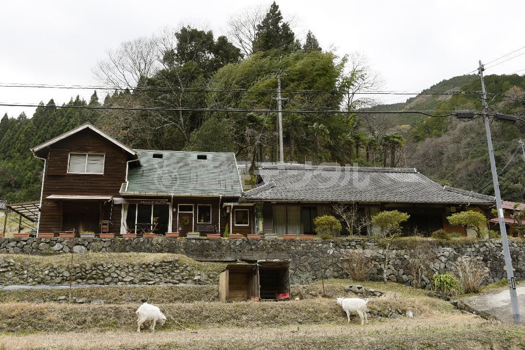 山間にある「かんじゃ山椒（さんしょう）園」はカフェも併設。ヤギがお出迎えしてくれる＝２０１４年２月１１日、和歌山県有田郡有田川町（塩塚夢撮影）