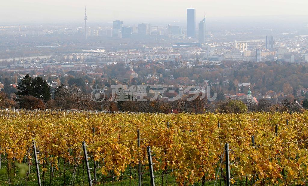 ウィーン切っての景勝地、カーレンベルクからブドウ畑をはさんで市街を一望する。ウィーンはワインの都でもある＝２０１４年１１月１１日、オーストリア・首都ウィーン（ＡＰ）