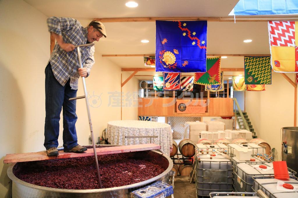 ポートランド郊外のワイナリー「マーカス・ビンヤード」で、発酵中のぶどう果汁をかき回すフランコ・マーカスさん。天井にはイタリア・シエーナの競馬レース、パーリオで使われる各地区の旗が掲げられていた＝２０１４年１０月２３日、米オレゴン州（緑川真実さん撮影）