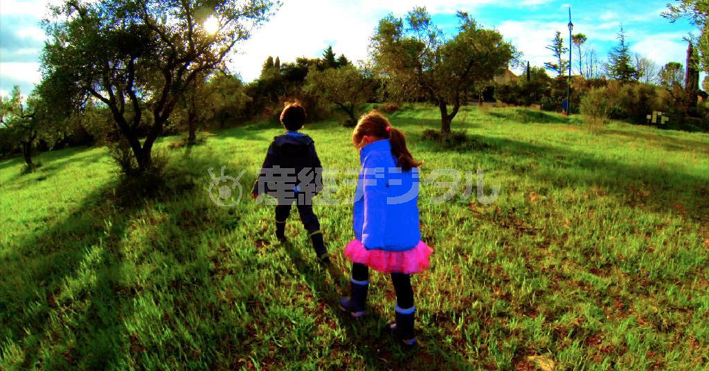 ３Ｄ作品「さらば、愛の言葉よ」（ジャン・リュック・ゴダール監督、ＡＰ）