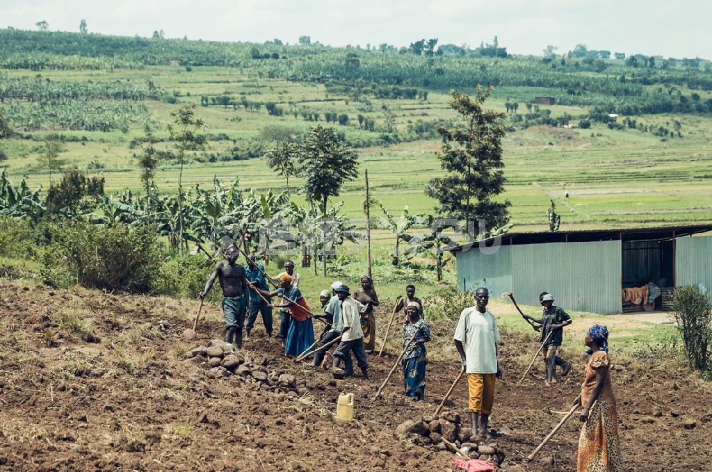 畑を耕す人々。ローズさんも、この仕事をしている＝ルワンダ（前康輔さん撮影、ワールド・ビジョン・ジャパン提供）