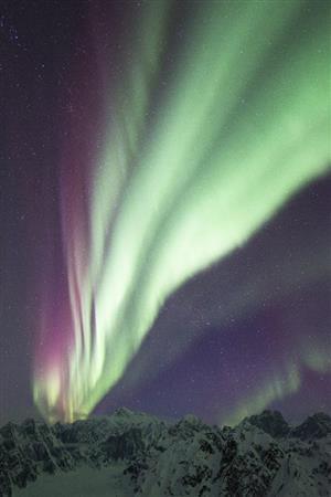 マッキンリー山上空を舞うオーロラ。同じものは二度と見ることができない＝２０１４年２月１９日、米アラスカ州（松本紀生さん撮影）