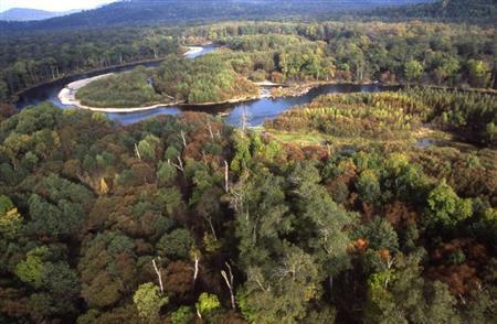 多彩な生命を育むタイガ。ビキン川は立ち止まることなく流れ続ける＝ロシア・クラスヌィ・ヤール村（伊藤健次さん撮影）