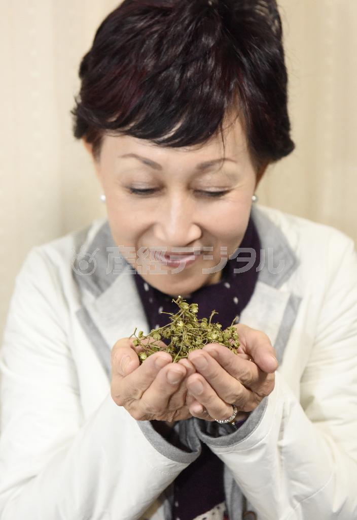 料理研究家、松田美智子さん＝２０１４年２月１１日（塩塚夢撮影）
