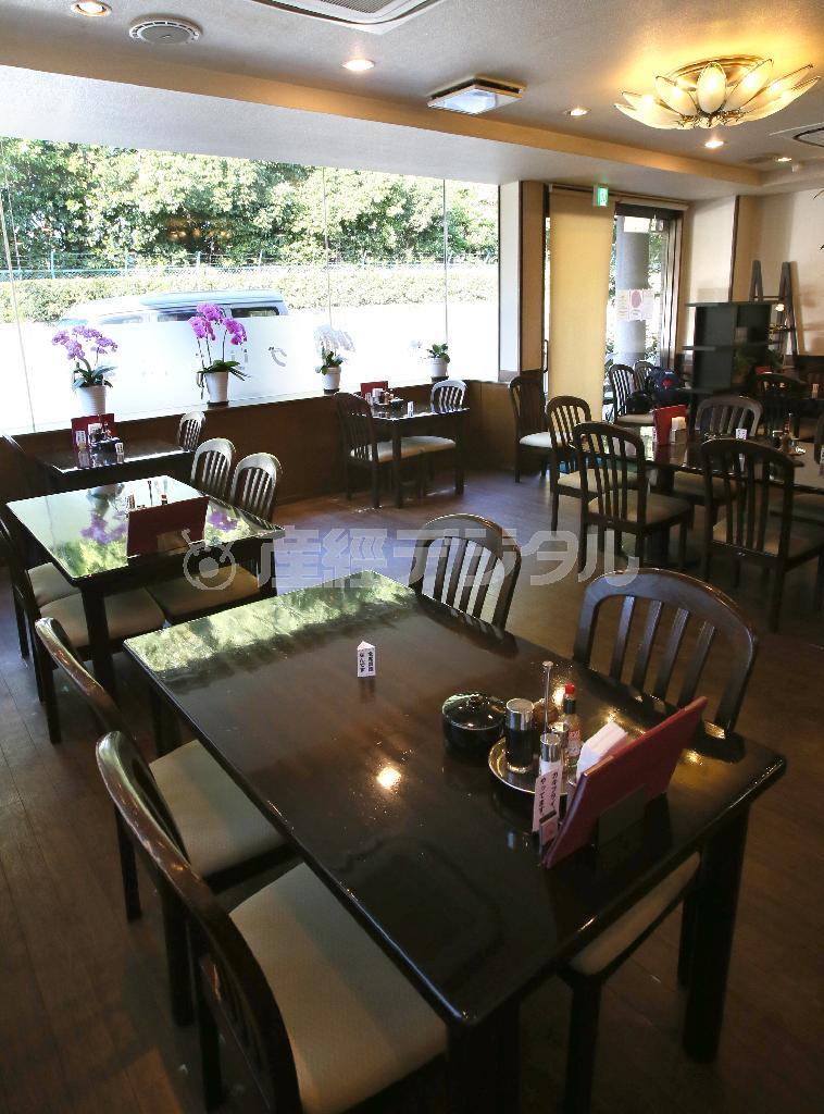 大きな窓からは太陽の光がサンサンと入る店内。窓越しには岡崎公園の木々を見る事ができる＝２０１４年１２月２２日、京都市左京区（志儀駒貴撮影）
