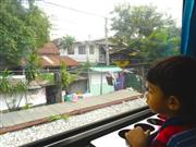 車窓にカメラを向けると興味津々。流れる景色を夢中で眺めていた