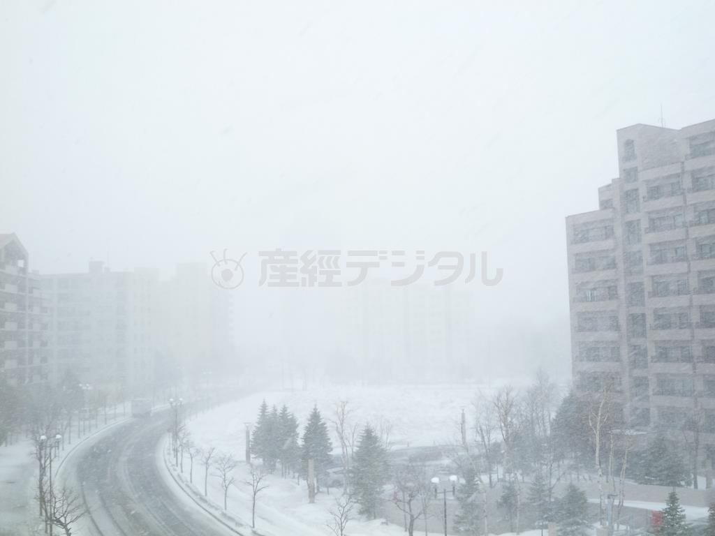 札幌は吹雪。いつもベランダから見える高層マンションも今日は雪に隠れています＝北海道・札幌市（乾ルカさん撮影）