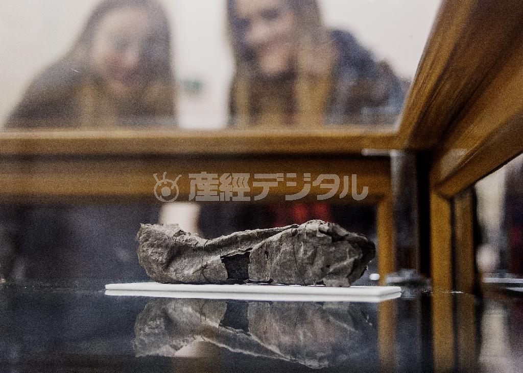 炭化した古代パピルス紙の巻物を眺める来館者＝２０１５年１月２０日、イタリアのナポリ国立図書館（ＡＰ）