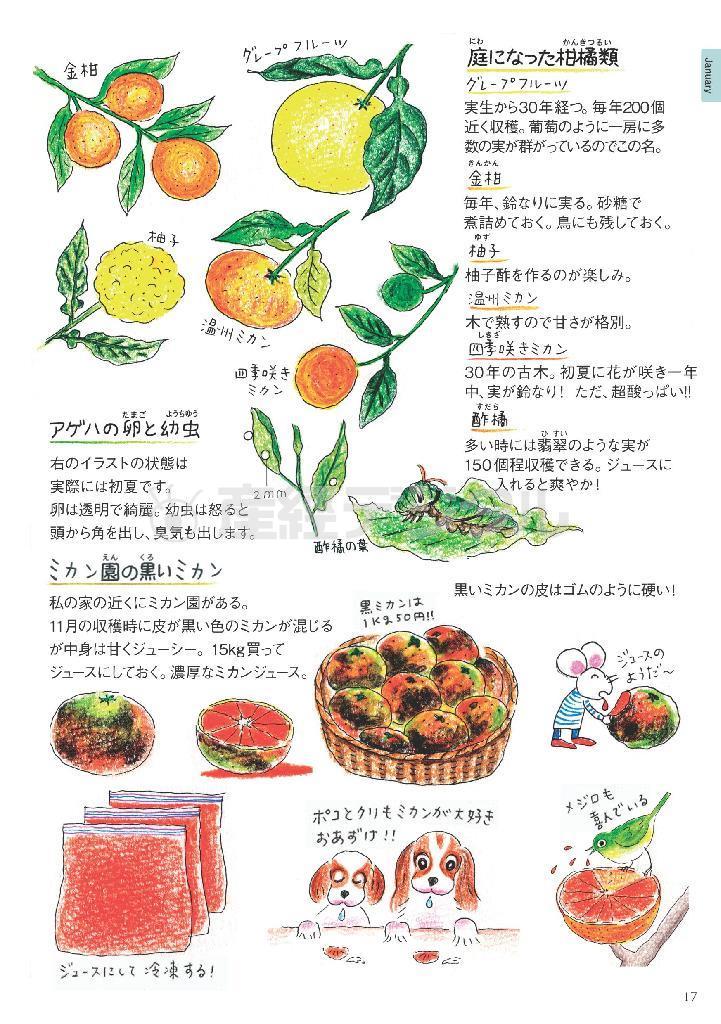 今にも甘酸っぱい匂いがただよってきそう（「日本の１２か月を食べる、遊ぶ、暮らす。」より、提供写真）