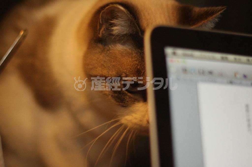 （町田康さん撮影）