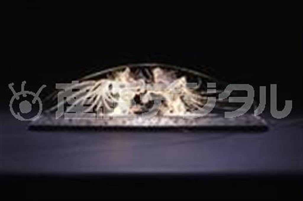 ダイニング用センターピース「二人のナイト」ルネ・ラリック（１９２０年、箱根ラリック美術館、提供写真）