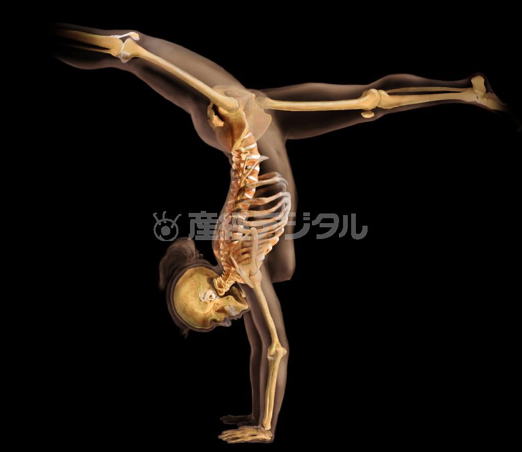 人体機能の研究。（Ｃ）２０１５＿Ｄｉｓｃｏｖｅｒｙ＿Ｃｏｍｍｕｎｉｃａｔｉｏｎｓ，ＬＬＣ．