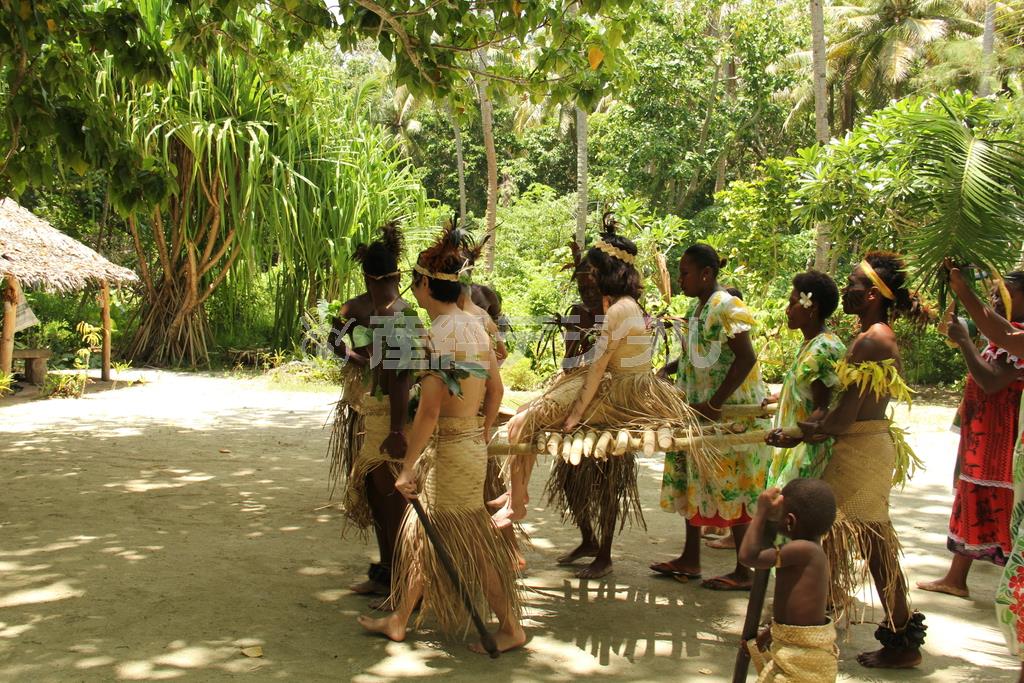 新婦は御神輿（おみこし）のようなものに乗せられ…＝２０１４年１２月２７日、バヌアツ・エファテ島タカ村（相川梨絵さん提供）