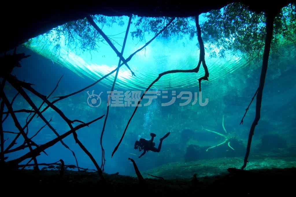 「死ぬまでに一度は訪れたい絶景ポイント」の一つとして、ダイバーだけでなく、一般観光客からも注目を集める。これは「カーウォッシュ」と呼ばれるセノーテ＝２０１５年１月１４日、メキシコ・ユカタン半島（越智隆治さん撮影）