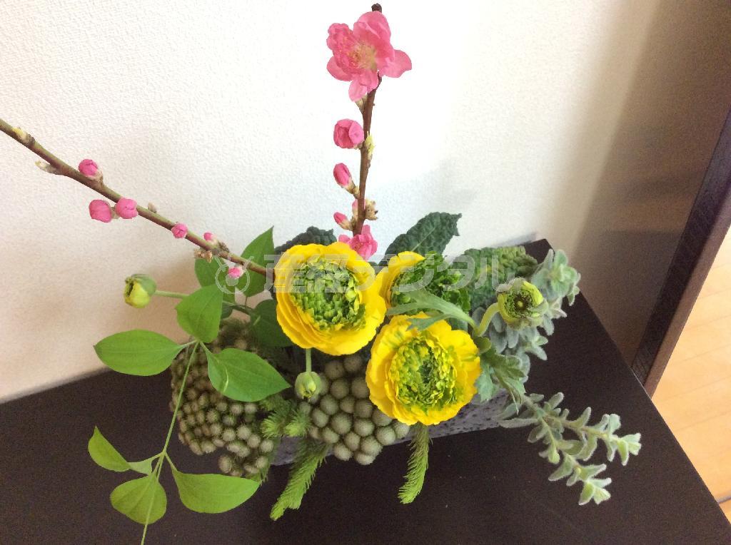 ＰＯＰなイメージで、桃の節句アレンジメント（Ｆｉｎｉｓｈ！、花千代さん提供）