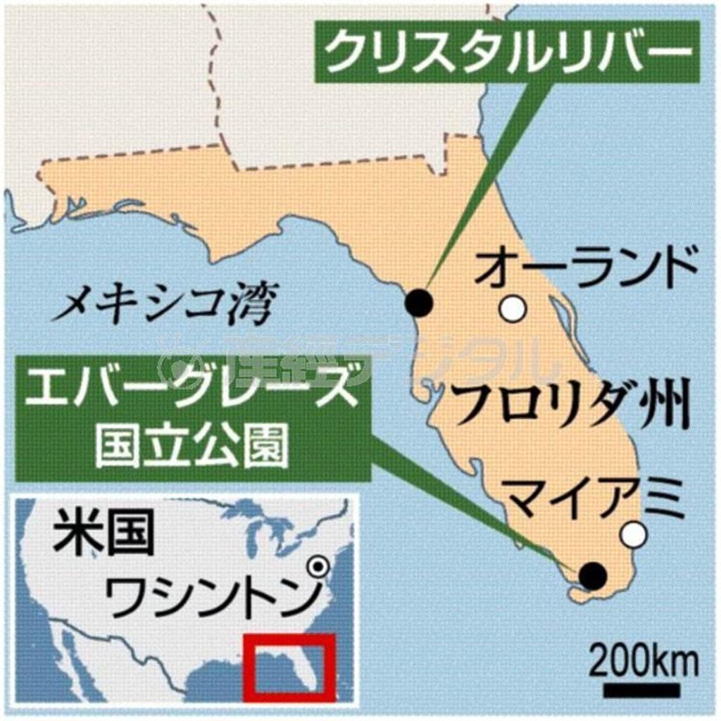 米フロリダ州クリスタルリバー、エバーグレーズ公立公園