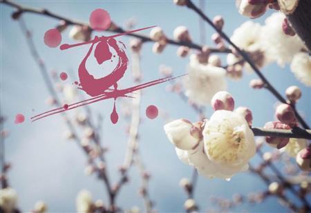 北野天満宮で撮影した梅の花＝２０１５年２月２４日、京都市上京区（中塚翠涛さん撮影）