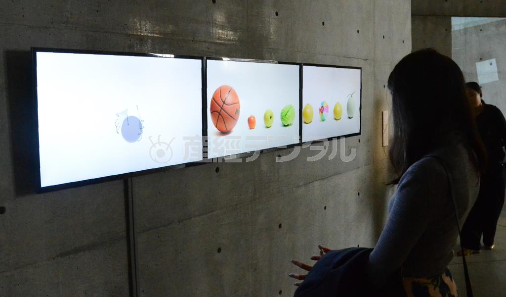 「りんごってどれくらい？」パーフェクトロン＝２０１５年２月１９日、東京都港区（原圭介撮影）