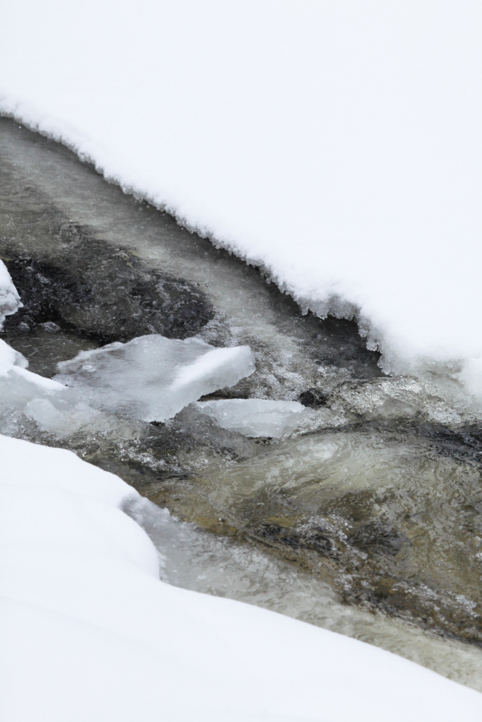 静まりかえった冬の公園にも川のせせらぎが＝カナダ・オンタリオ州北東部のアルゴンキン州立公園（佐藤良一撮影）