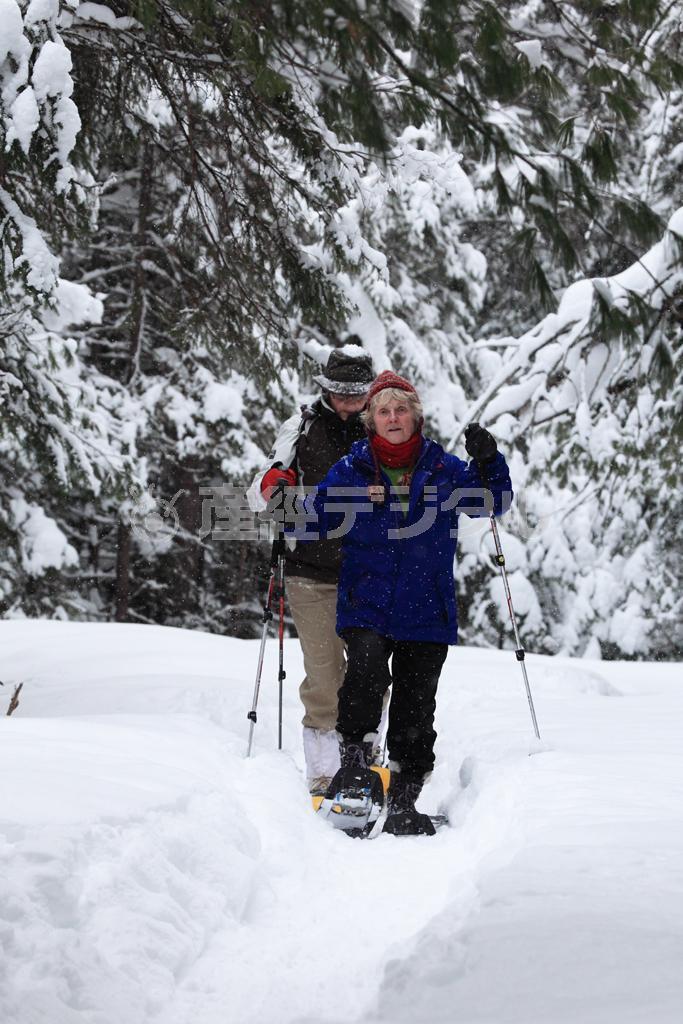 冬季になるとシーズンが幕を明けるウィンタートレイル＝カナダ・オンタリオ州北東部のアルゴンキン州立公園