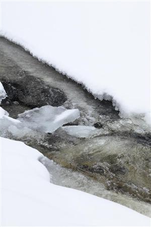 静まりかえった冬の公園にも川のせせらぎが＝カナダ・オンタリオ州北東部のアルゴンキン州立公園（佐藤良一撮影）